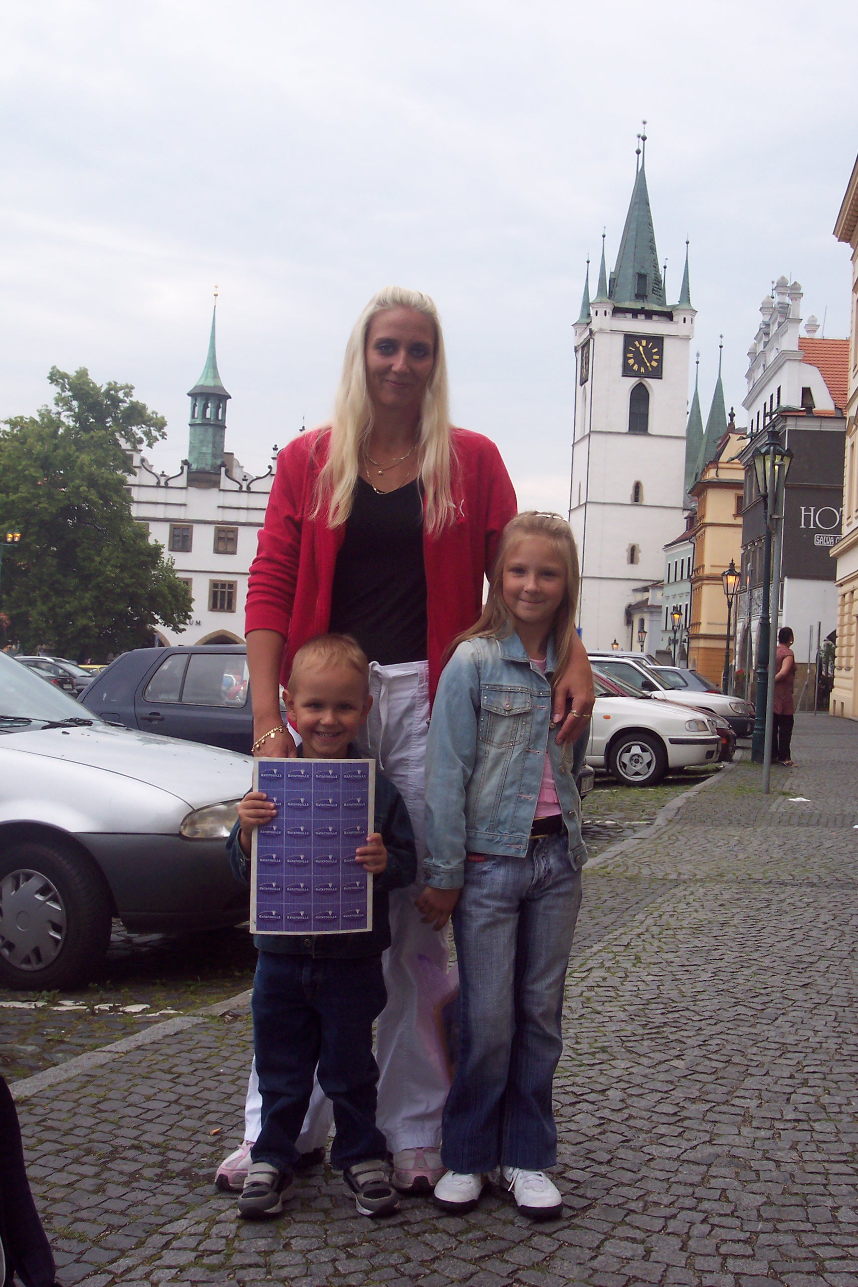          Litoměřice 